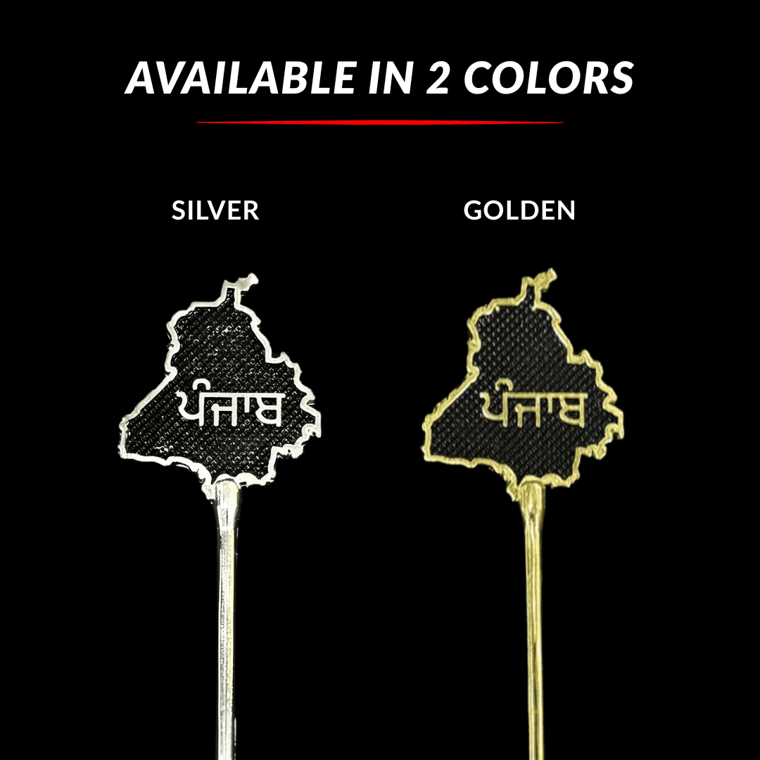 punjab heritage salai baz premium design black - silver and gold 