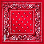 red paisley bandana re color buy online