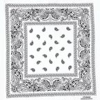 Black and white bandana with paisley patterns on a white background